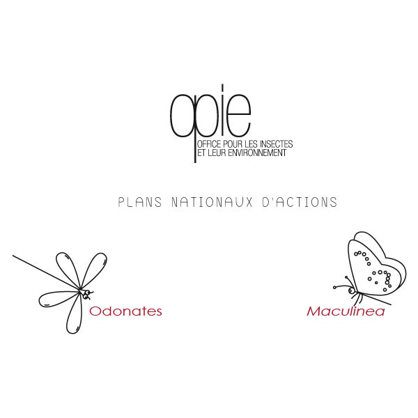 Plan National d'Action en faveur des Odonates